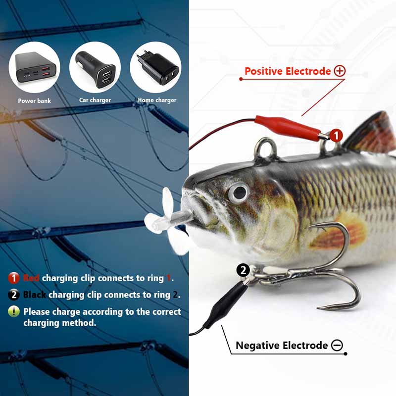 Magic Bait