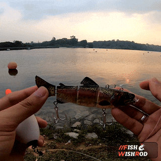 Magic Bait